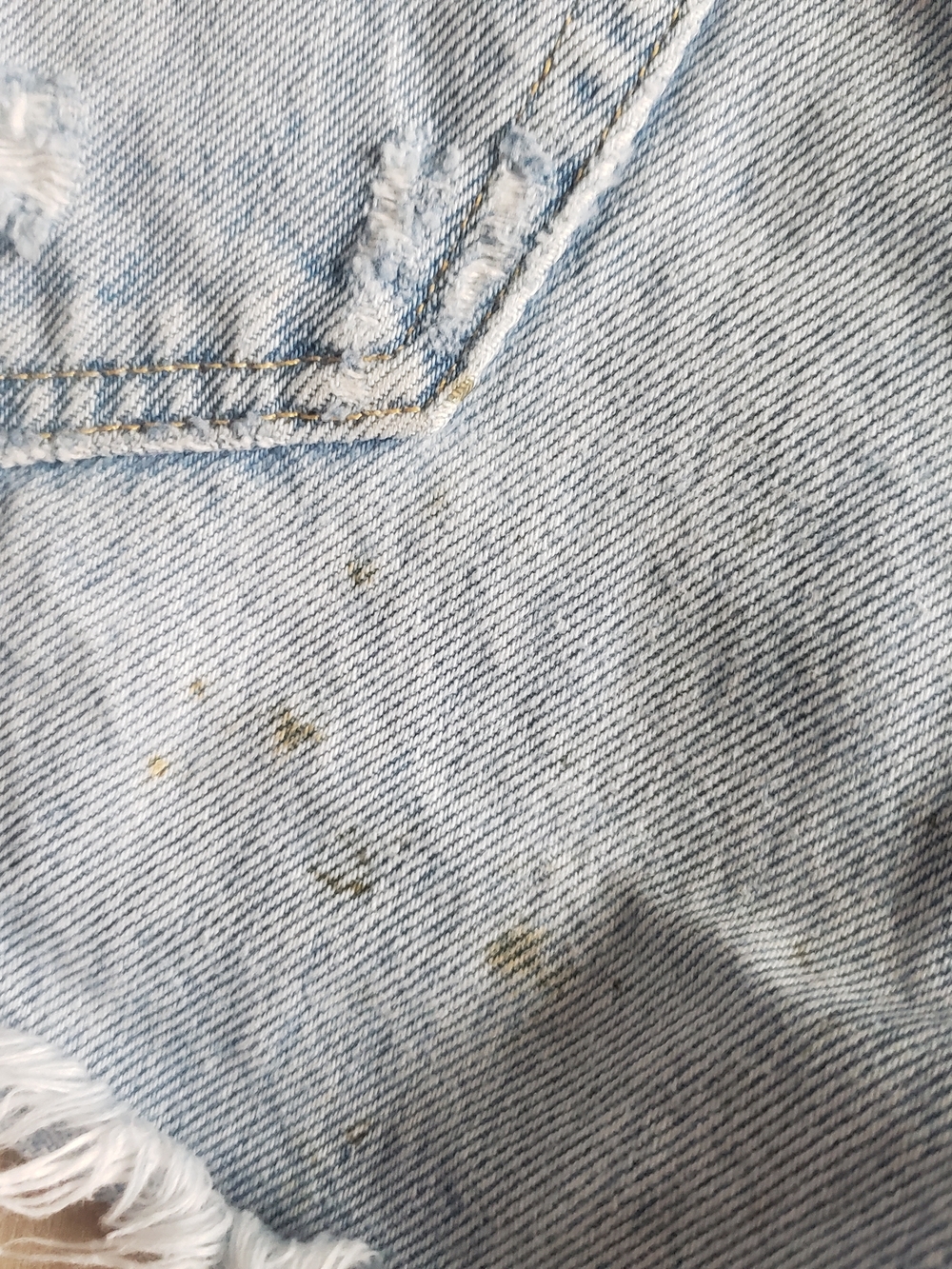 AGOLDE Shorts Bundle Womens 24 Blue Parker Denim Cut Offs Distressed - Picture 4 of 10